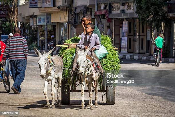 Street En Luxor Egipto Foto de stock y más banco de imágenes de Luxor - Tebas - Luxor - Tebas, Mercado - Espacio de comercio, Adulto joven