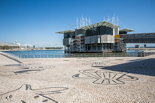 Lisbon Oceanarium, Lisbon, Portugal Lisbon, Portugal - September 23, 2015: Oceanário de Lisbon - the Lisbon Oceanarium - is located Parque das Nações - Nations Park in eastern Lisbon not far from Lisbon Airport. oceanário de lisboa stock pictures, royalty-free photos & images