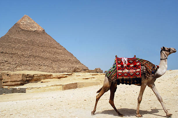 piramida z chefren, giza, egipt - chefren zdjęcia i obrazy z banku zdjęć