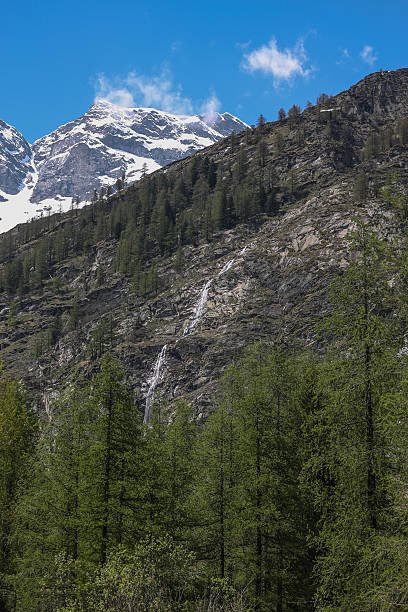 o monte rosa dos alpes - liskamm imagens e fotografias de stock