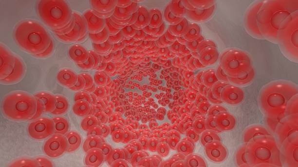 istock Endoscopic view of flowing red blood cells in a graft 502007084