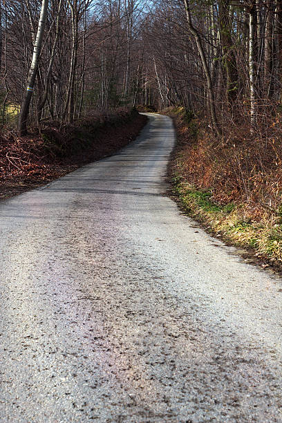 istock Road in Mountains in Autumn 502008296
