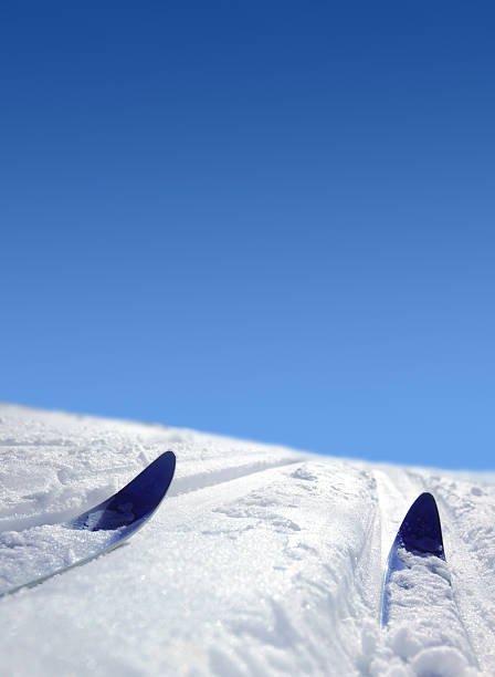 Cross Country Ski