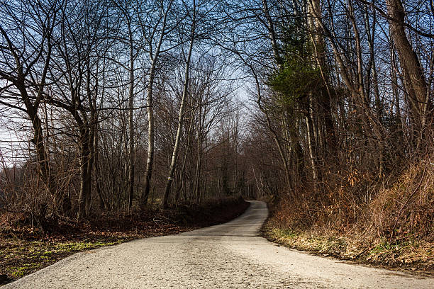 istock Road in Mountains in Autumn 502008368