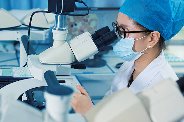la investigación científica - research clean room laboratory genetic modification fotografías e imágenes de stock