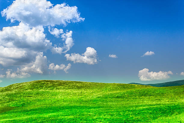 istock Blue sky and green grass on hill in summer 502011246