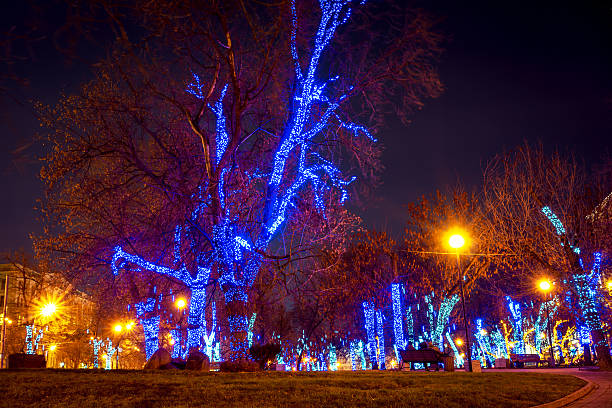 istock Illuminated decoration of trees at night in Moscow 502011520