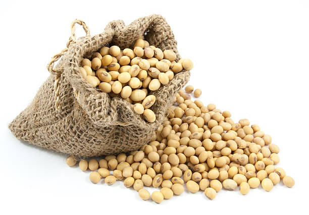 istock Dried soybean in canvas sack 502012466