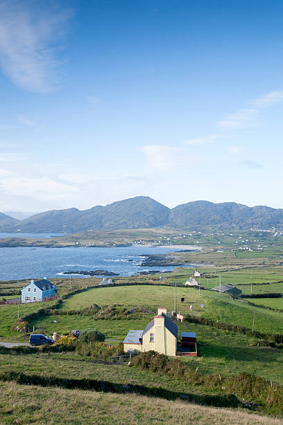 istock Coast near Allihies Beach; Beara Peninsula; Cork 502012848