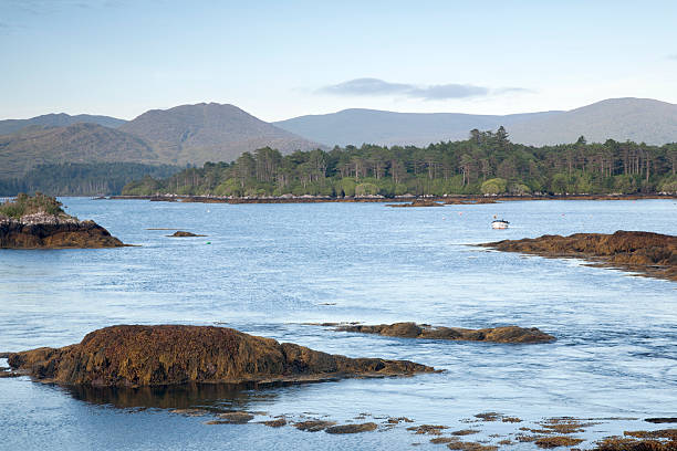 istock Coast near Ardgroom, Beara Peninsula; Cork 502012938