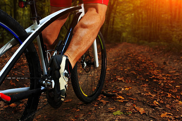 istock Closeup Bicyclist with His Bicycle in the Summer Forest 502013134