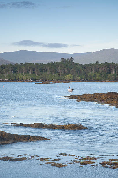 istock Coast of Beara Peninsula; Cork 502013484
