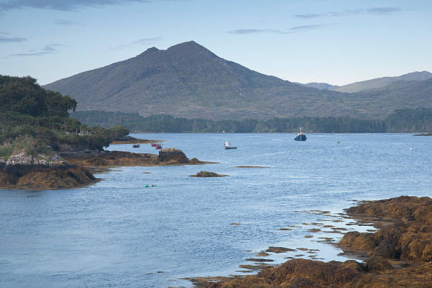 istock Coast of Beara Peninsula; Cork 502013544