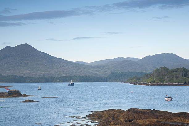 istock Coast of Beara Peninsula; Cork 502013562