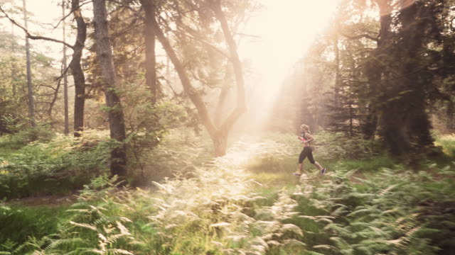 AERIAL Woman running through forest in morning sunshine