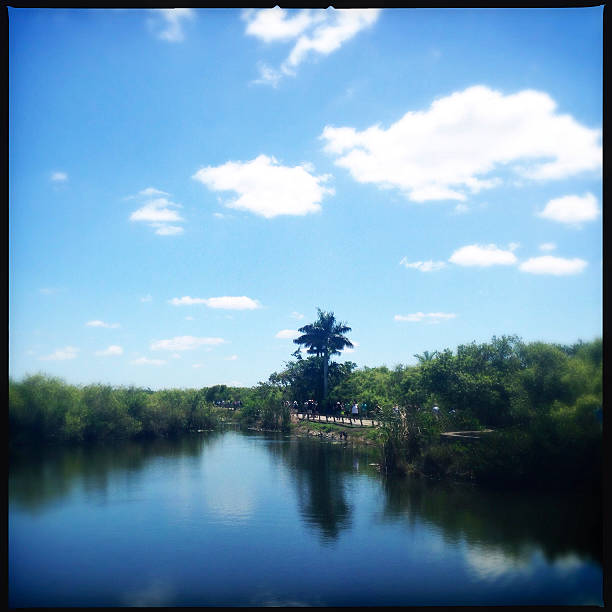 Everglades National Park in Florida, USA - Edges Blurred for Dream Like effect