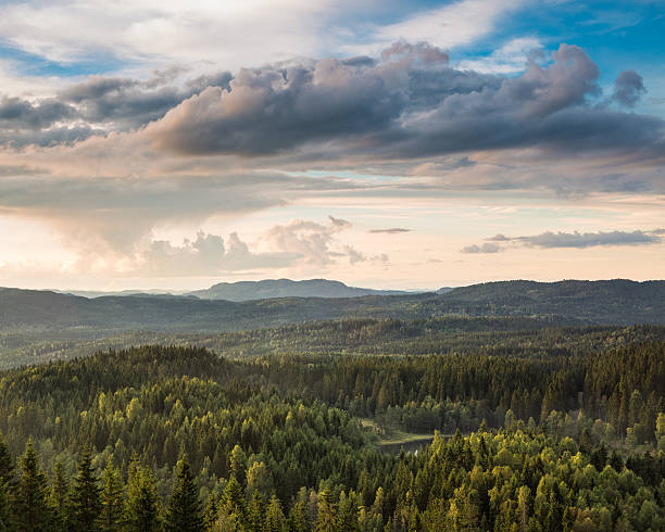 View of Nordmarka forest with dramatic sky, Oslo Norway