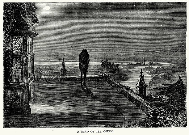 Bleak House by Charles Dickens Vintage engraving from the works of Charles Dickens. From Bleak House.  A bird of ill omen charles dickens stock illustrations