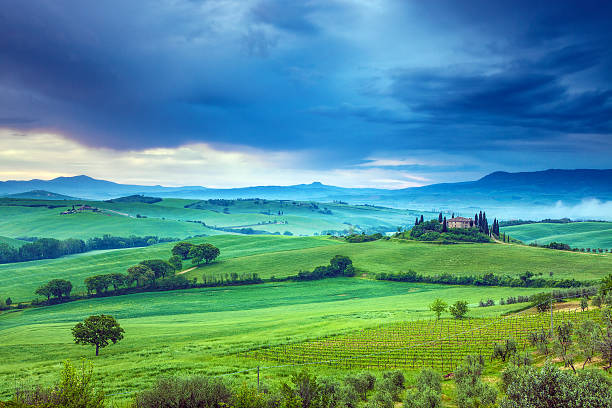istock Landscape in Tuscany 502025053