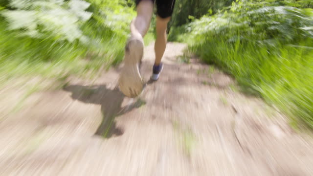 TS Legs of a male runner running through the forest