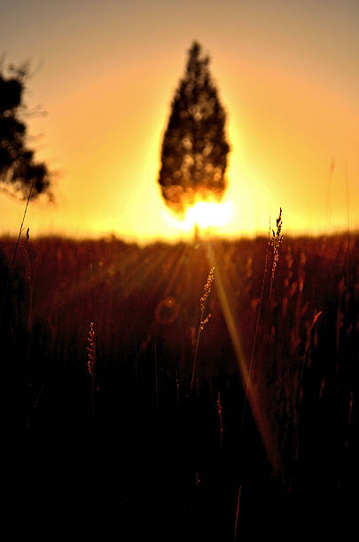istock Country Sunrise 502034421
