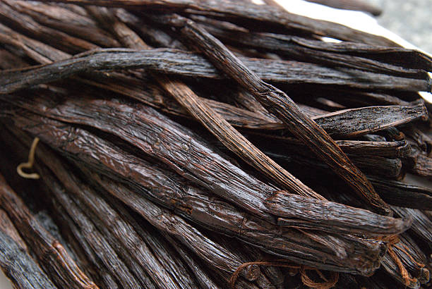 vanillabeans plusieurs gousses de vanille-viele vanielleschoten - vanilla photos et images de collection