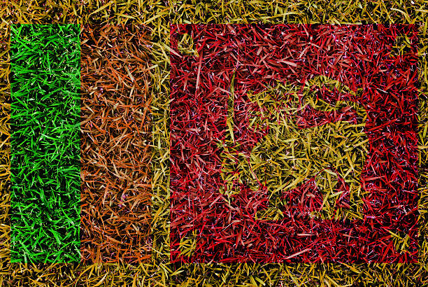 istock Sri Lanka Flag color grass texture background 502035055