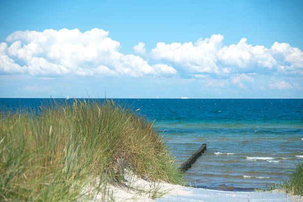 istock ocean panorama water with dune 502035203