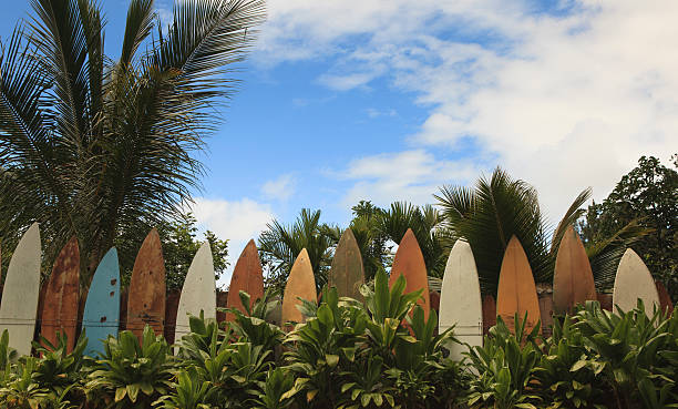 valla de la tabla de surf - hawaii islands maui big island tropical climate fotografías e imágenes de stock