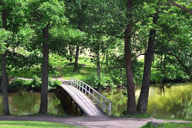 istock Wooden foot bridge 502036807