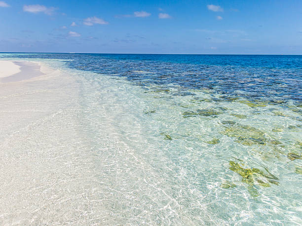 istock Clear blue sea, sky and white beach 502038090