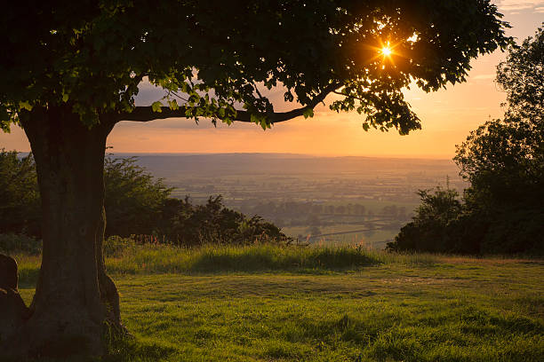 chiltern hills pôr-do-sol - buckinghamshire - fotografias e filmes do acervo