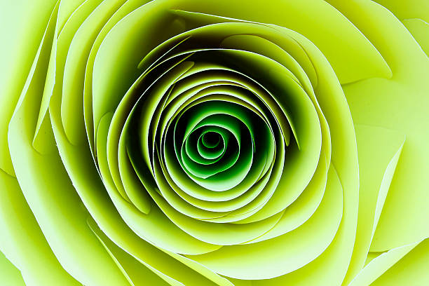 istock beautiful paper Flower background 502039012