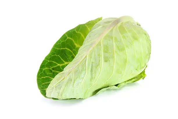 Raw sweetheart cabbage isolated on a white background