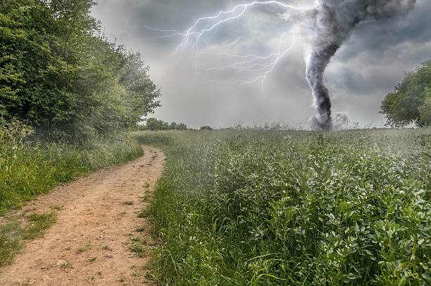 le danger de tempête produire une tornade sur champ vert - tornado storm road disaster photos et images de collection