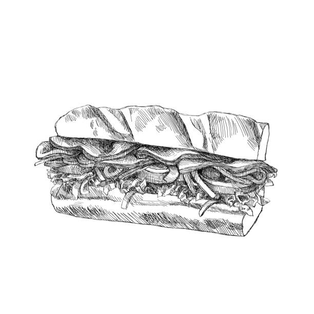 스케치 샌드위치 - sandwich ham white background lunch stock illustrations