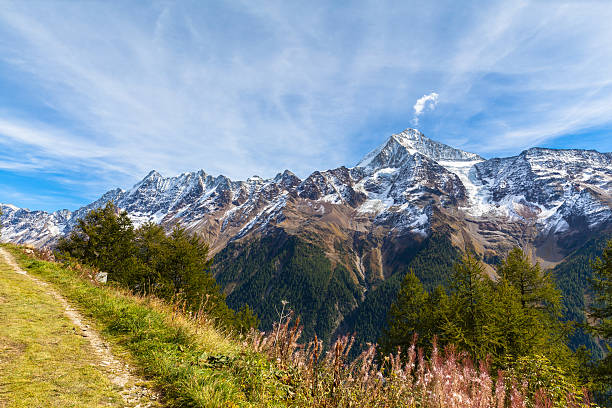 istock Stunning view of Loetschental Valley 502041516