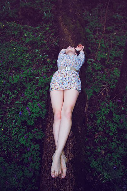 istock Young beautiful woman lying on log in forest 502041632