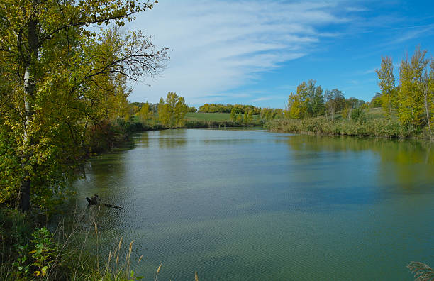 istock River landscape and  autumn wood 502045422