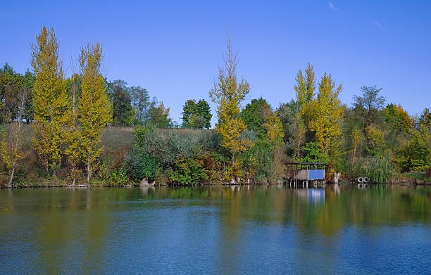 istock River landscape and  autumn wood 502045430