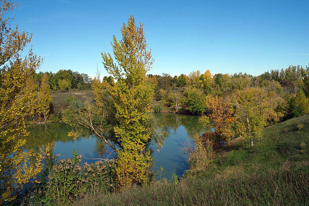 istock River landscape and  autumn wood 502045686