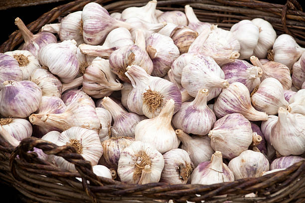 Wicker basket full of fresh garlic seen in a street food market. 