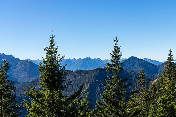 istock Herzogstand, Bavaria, Germany 502047742