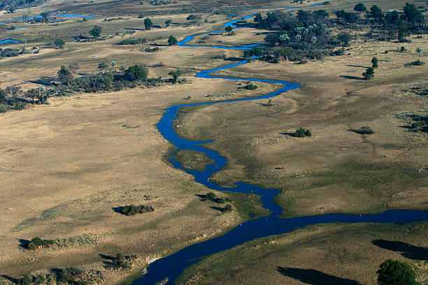 istock Aerial view of the Okavango Swamp, Botswana 502047846