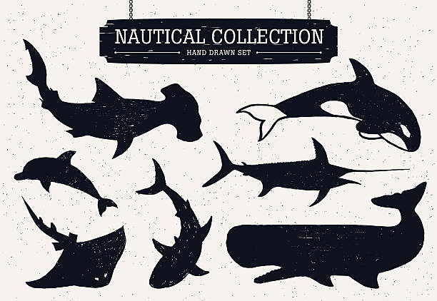 수작업 해양수 고기잡이 아이콘 세트. - tuna silhouette fish saltwater fish stock illustrations