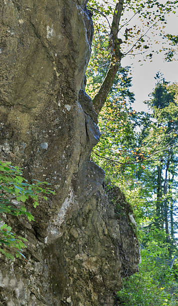 istock Vintgar gorge. Bled,Slovenia. 502050772