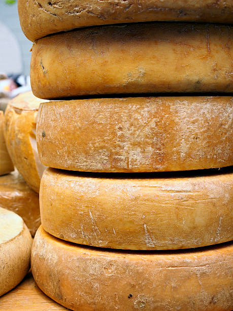 Fontina cheese wheels stock photo