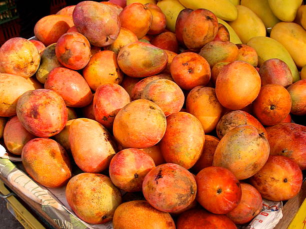 istock Fresh Mangoes closeup 502056009