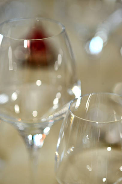 istock Gourmet French Dinner 502056159