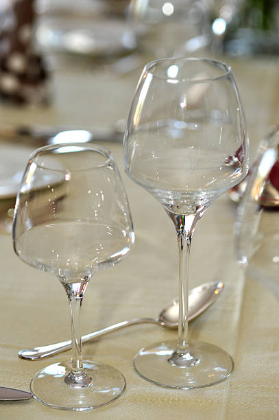 Gourmet French Dinner stock photo